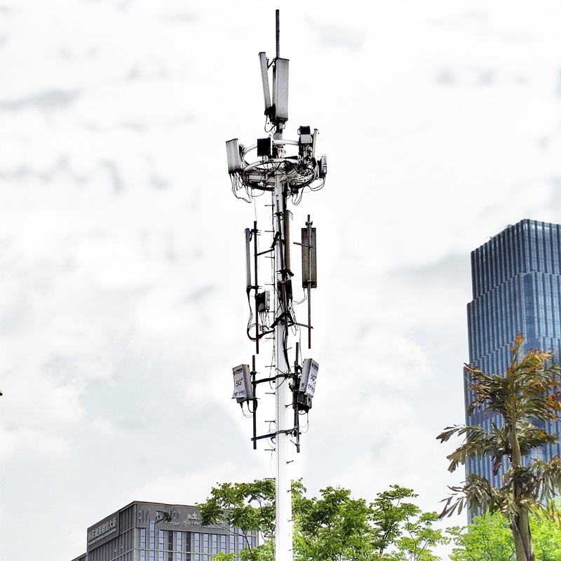 Telecom Monopole